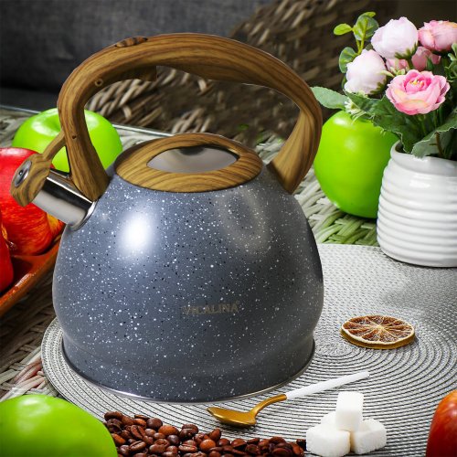 Чайник со СВ AZ2025-395  VL-9237  3.0л (12)