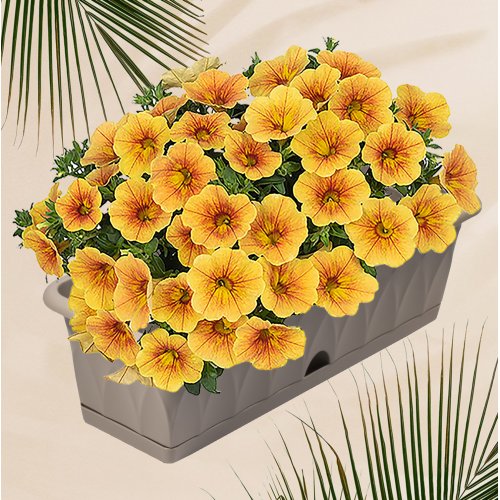 Ящик д/растений ПМ С173-03-СЕР''Сиена''58см (5)