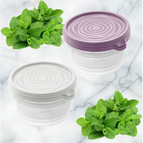 Набор контейнеров ПМ д/СВЧ С237КОЛ Сальваре 0,5л 3шт. (12)