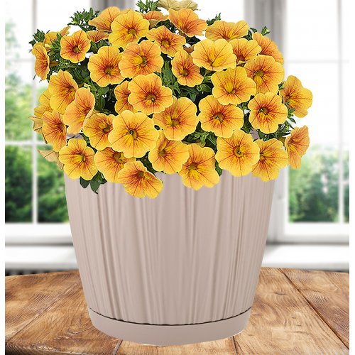 Горшок цв. ПМ IG623010047 Barcelona 1.8л молочный шоколад (16)