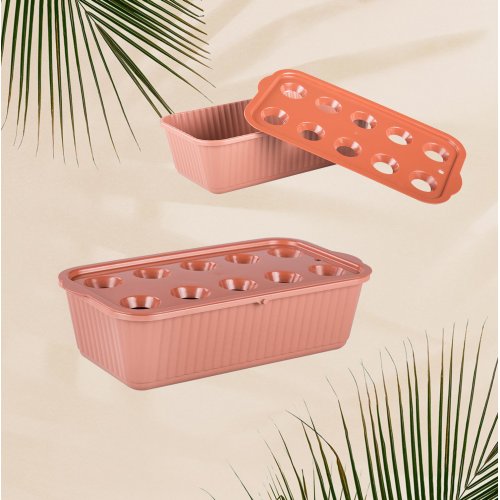 Лоток д/выращивания лука ПМ М6716 коричневый (20)