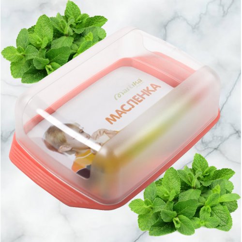 Масленка ПМ С3КОЛ с прозрачной крыш.(12)