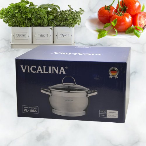 Кастрюля VL-1065  5.2л  d22см (6)