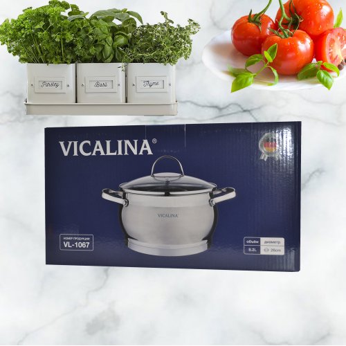 Кастрюля VL-1066  6.7л  d24см (6)