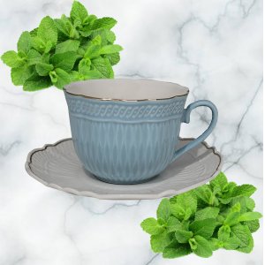 Чашка с блюдцем 133-186  250 мл  в под.уп.(36)