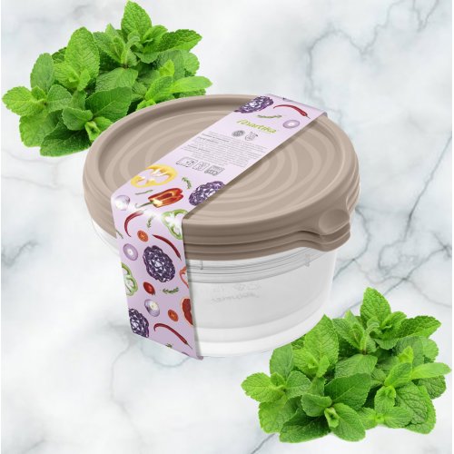 Набор контейнеров ПМ д/СВЧ С237МОКК Сальваре 0,5л 3шт. (12)