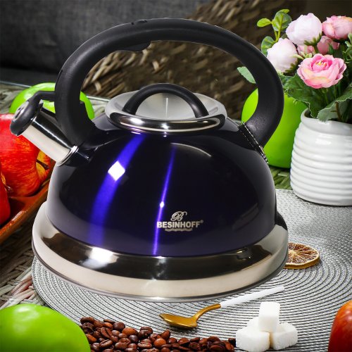 Чайник со СВ AZ2025-455  ВН3008 2,6л (12)