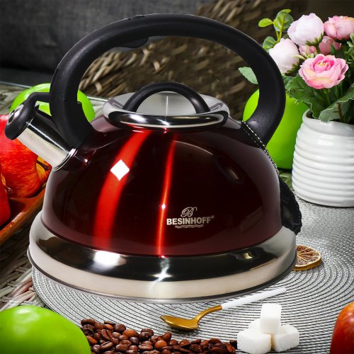 Чайник со СВ AZ2025-455  ВН3008 2,6л (12)